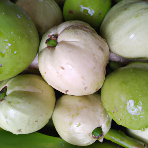 Manfaat Labu Untuk Kesehatan